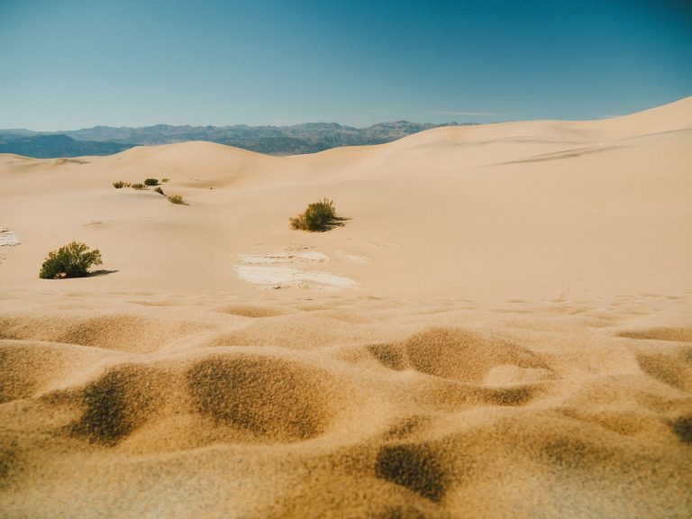 Faulkner Park – Mesquite — Mesquite