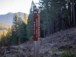 Badger Mountain Trailhead & Summit Route — Woodland Park
