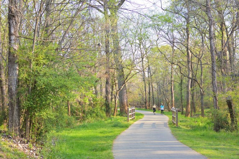 Burleson's Midlothian Trail Connector (FM 1187 Multi-Use Path & Greenway) — Burleson