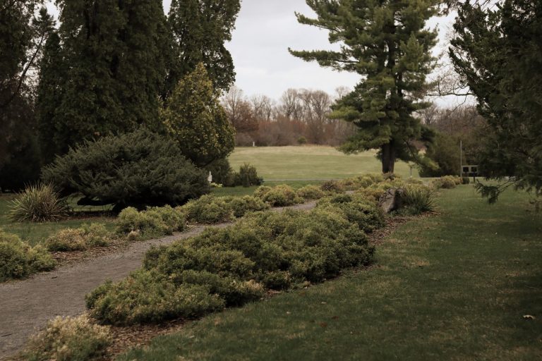 Brenton Arboretum — Des Moines