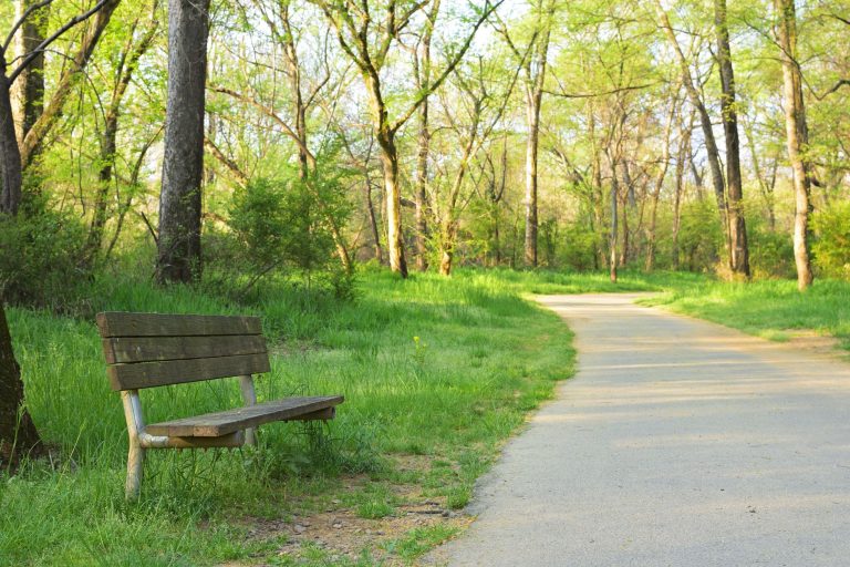 Gordon Birdwell Park & Southeast Greenway Trail — McKinney