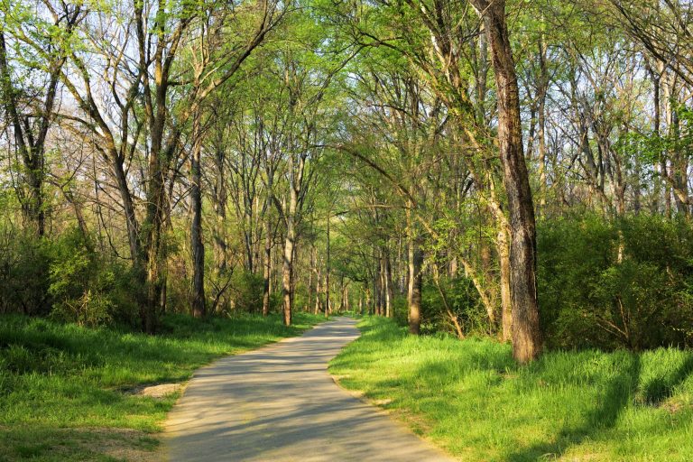 Edgewood Sports Complex & Greenway Trail — Cedar Rapids