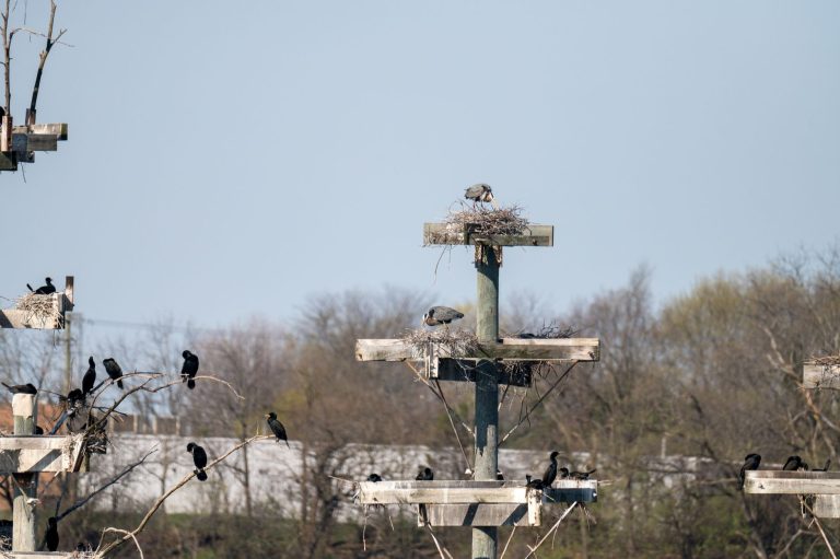 Crow's Nest Bar & Grill — Cedar Rapids