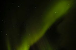 Escapology Aurora — Aurora
