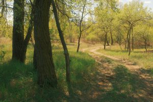 Great Plains Nature Trails at Overland Park's Corporate Woods — Overland Park