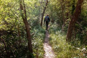 Campion Trail – Elm Fork Nature Preserve Segment — Irving