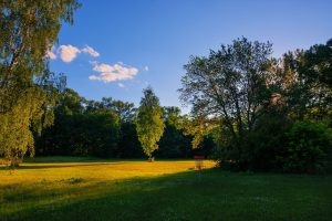 Woodland Park Disc Golf Course at Bison Ridge — Woodland Park
