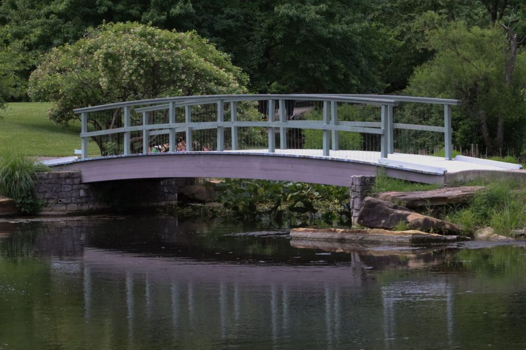 Norwood Pond Park — Warwick