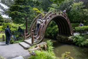 Hakone Estate and Gardens — San Francisco