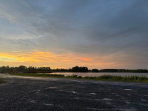 Lone Cedar Ciderworks — Chesapeake