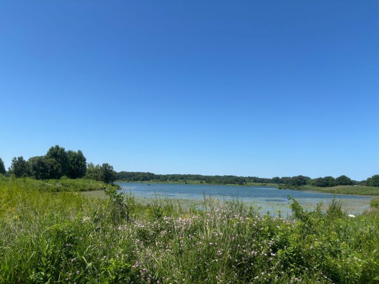 Lynn Creek Marina and Park — Grand Prairie