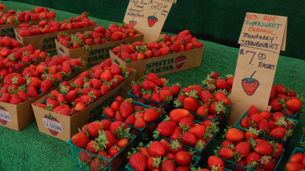 Fort Smith Farmers Market at Kay Rodgers Park — Fort Smith