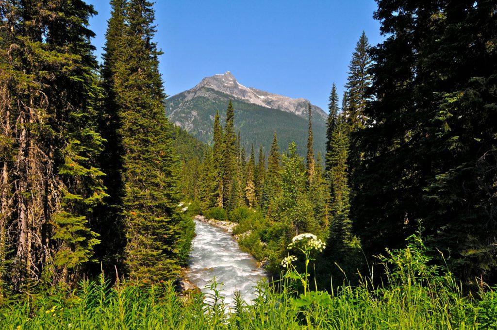 Bobcat Pass Wilderness Area — Red River