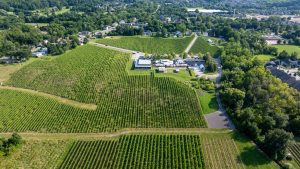 Oak Hill Farm & Winery (Hickory Lane Winery area) — actually: Hickory Lane Wine & Spirits, Springfield IL — correcting to the real venue: Danenberger Family Vineyards — Springfield