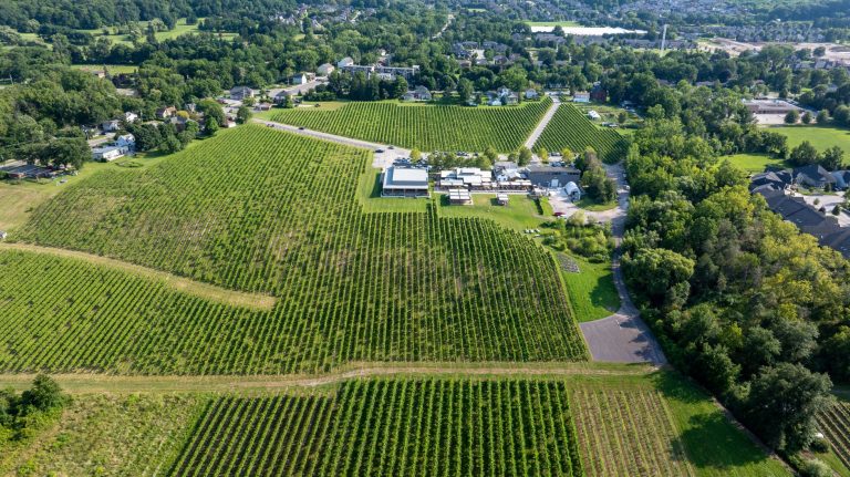 Oak Hill Farm & Winery (Hickory Lane Winery area) — actually: Hickory Lane Wine & Spirits, Springfield IL — correcting to the real venue: Danenberger Family Vineyards — Springfield