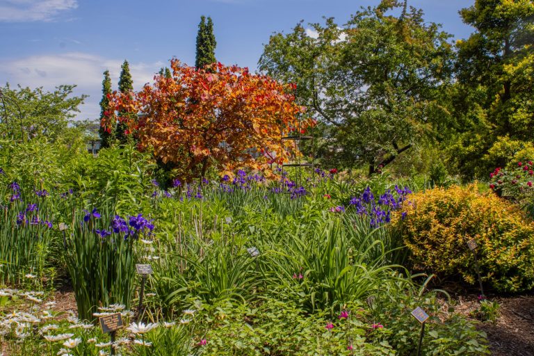 Stockley Gardens Arts Festival — Norfolk