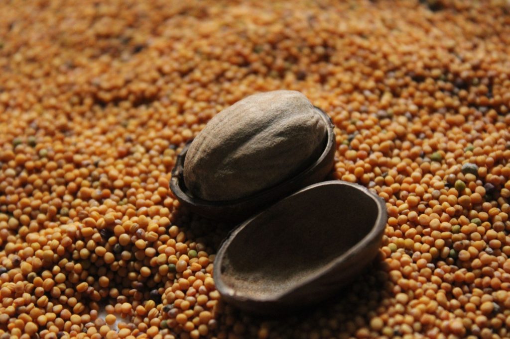 Mustard Seed Market & Café — Akron