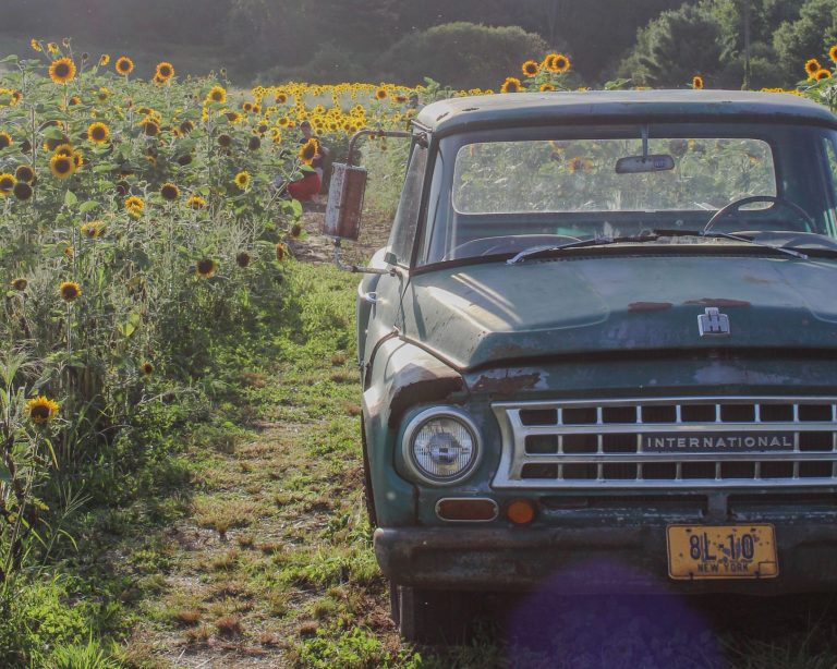 Bellport Antique Mile (South Country Road, Bellport) — Brookhaven
