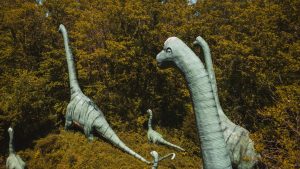 Dinosaur State Park & Arboretum — Hartford