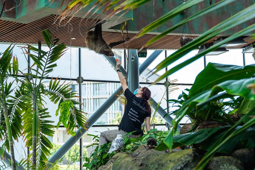Fresno Rainforest Adventure at Chaffee Zoo — wait. Let me choose: Bitwise Industries Campus & The Hive — Fresno