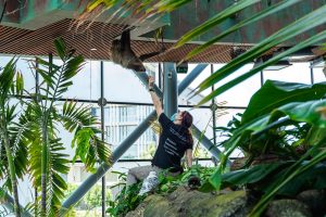Fresno Rainforest Adventure at Chaffee Zoo — wait. Let me choose: Bitwise Industries Campus & The Hive — Fresno