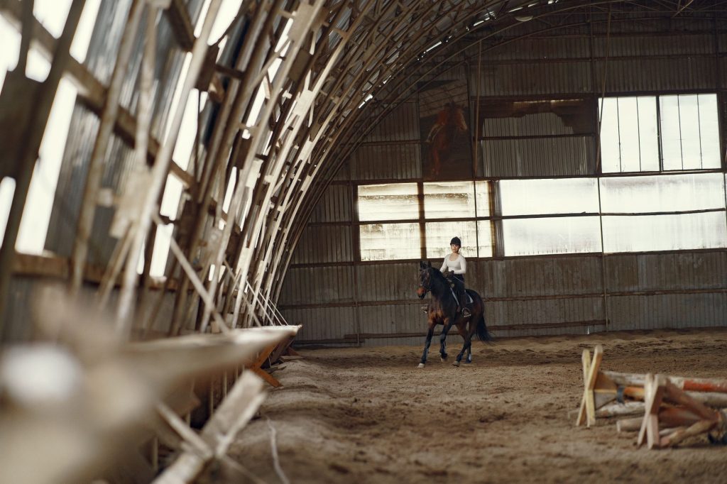 Reach 11 Equestrian Center – Rockwall — Rockwall
