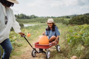 Kenagy Family Farms — Salem