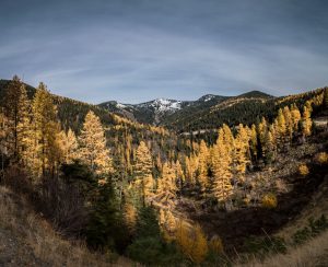 Black Bird Kitchen — Missoula