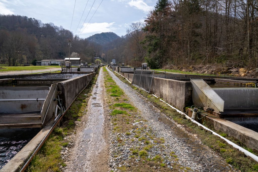 Bradford Fish Culture Station (Tionesta Creek Hatchery – Bradford Area Satellite) — Bradford