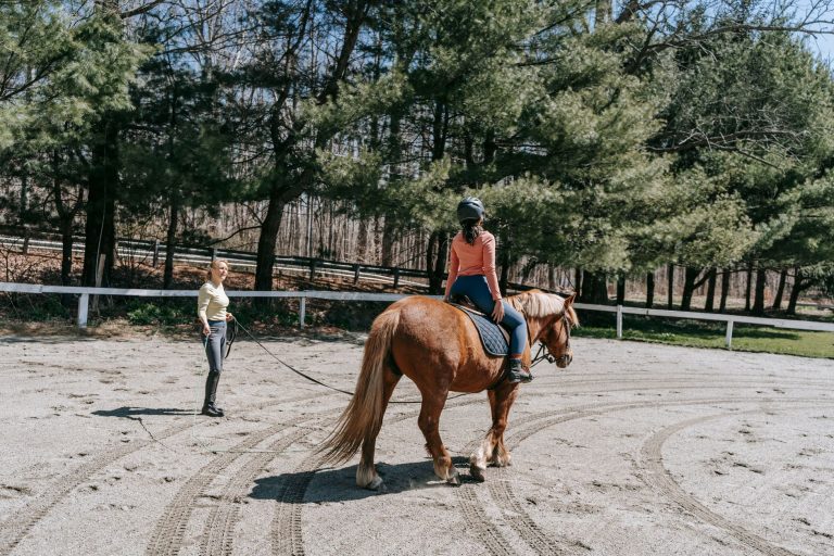 Seneca Highlands Equestrian Center — Bradford