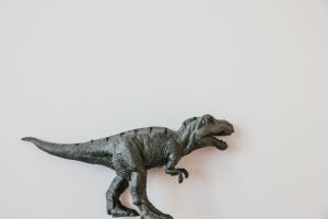 Denton Children's Museum (Dino Museum Denton / Jurassic Junior) — Denton