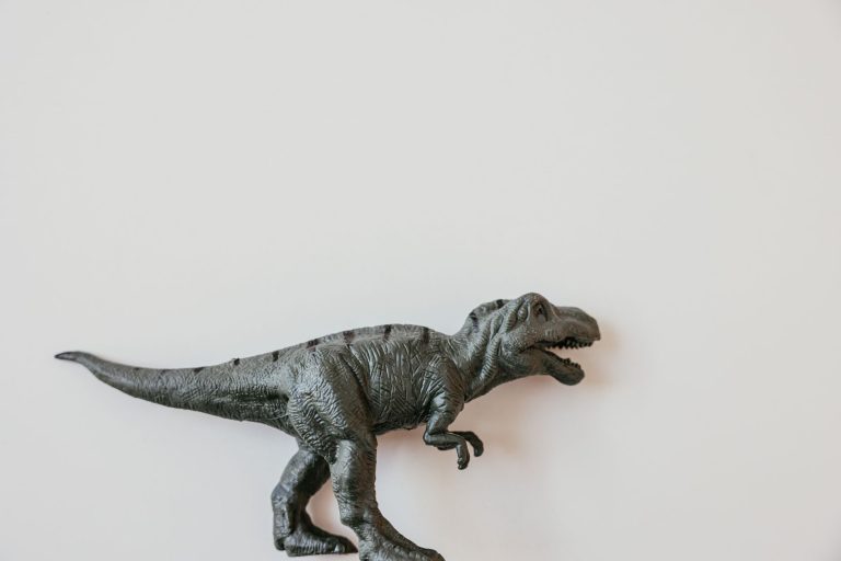 Denton Children's Museum (Dino Museum Denton / Jurassic Junior) — Denton