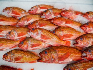 Shippan Landing Fish Market — Stamford