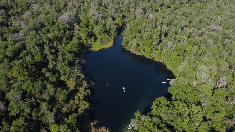 Rock Springs Run State Reserve — Orlando
