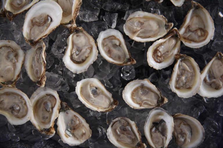 Uptown Eats & Oyster Bar — Columbus