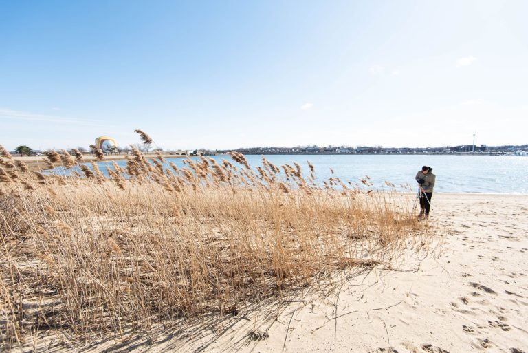 Pleasure Bay and the South Boston Beaches Shoreline Walk — Boston