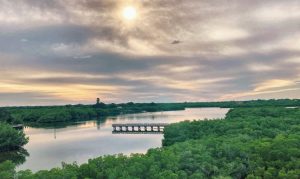 Pinellas County Commissioners Restore Funding For Weedon Island And Shell Key Pr