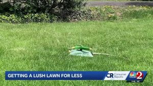 Practical Water Saving Tips For Lawns And Gardens