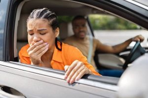 Practical Ways To Prevent Car Sickness For Families And Pets