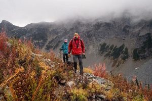 President Trump Pushes Roadless Rule Rescission To Improve Wildfire Management