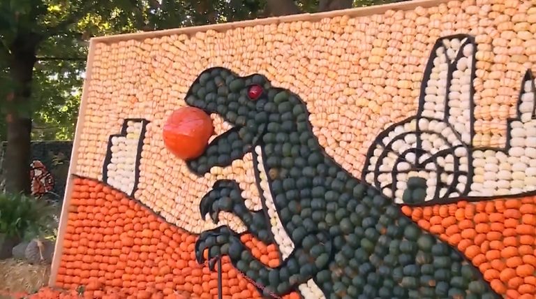 Pumpkinville Returns To Myriad Botanical Gardens For Family Fall Fun