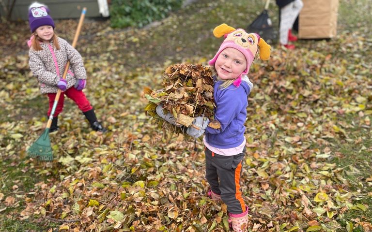 Rake Up Boise 2026 Expands Help To Seniors Veterans And Disabled Across Ada Coun
