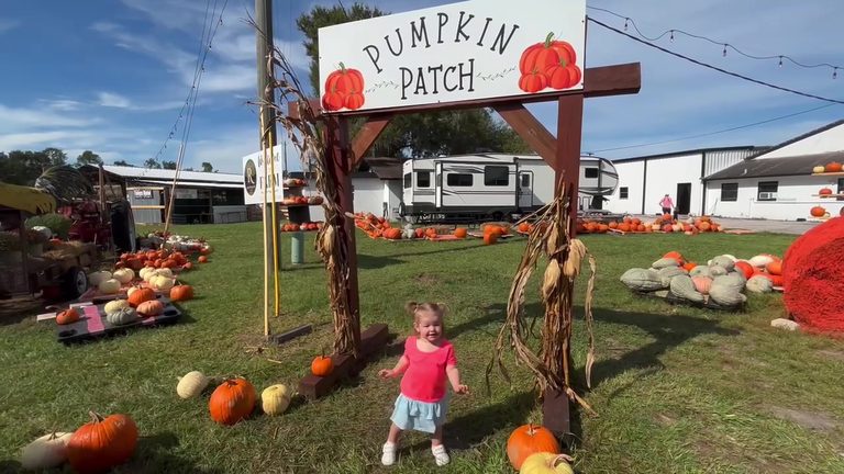 Raprager Family Farms Opens Fall Festival For Tampa Bay Families