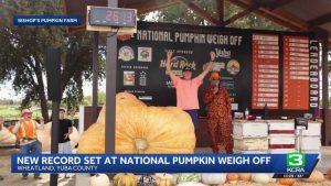 Record Breaking 2 613 Lb Pumpkin Crowned At Yuba County National Weigh Off