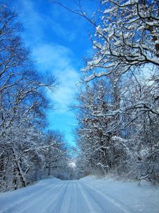 Rising Heating Oil Costs Strain Rural Michigan Households