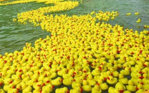 Rockwall S Rubber Duck Regatta And Jeep Festival Returns Oct 10 With Free Duck E