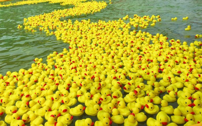 Rockwall S Rubber Duck Regatta And Jeep Festival Returns Oct 10 With Free Duck E