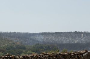 Ross Fire Fully Contained After 23 Days Volunteer Fire Departments Receive State
