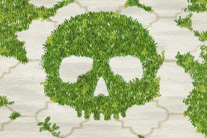 Safe Diy Ways To Eliminate Driveway And Sidewalk Weeds