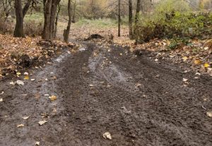 Salem City Council Faces Request To Pause Wallace Marine Park Camp Clearings